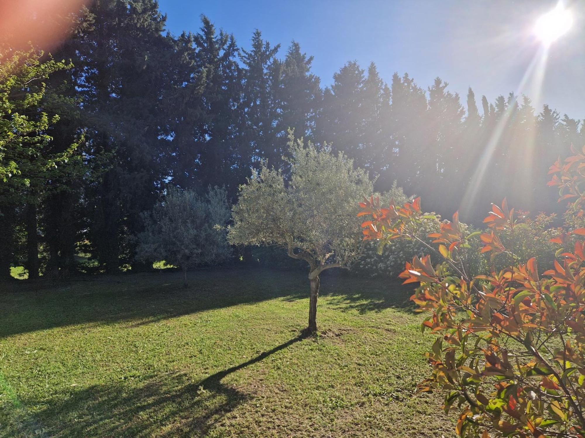 Le Mazet De Lois Holiday home Carpentras